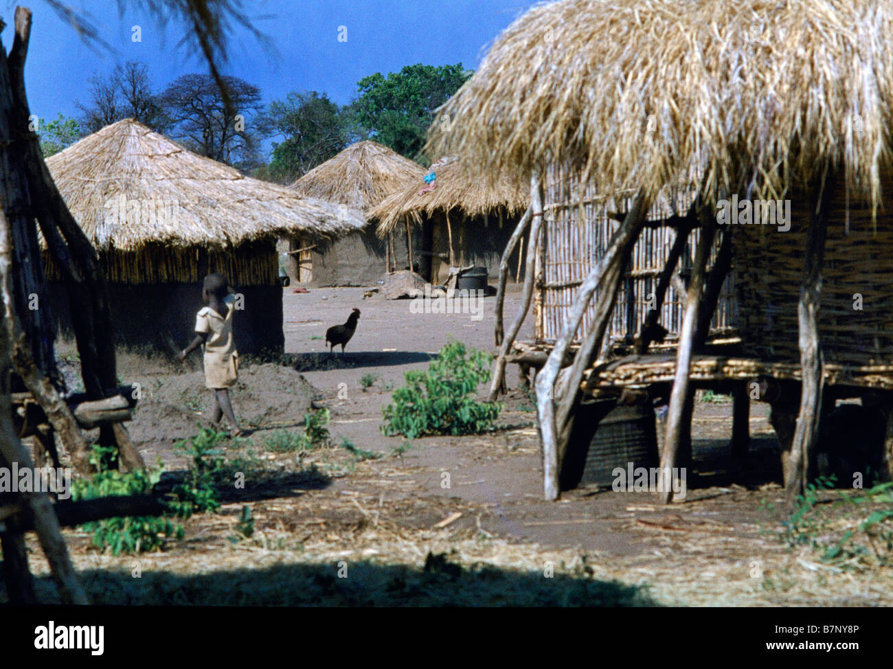 Zambia Village & Huts Stock Photo