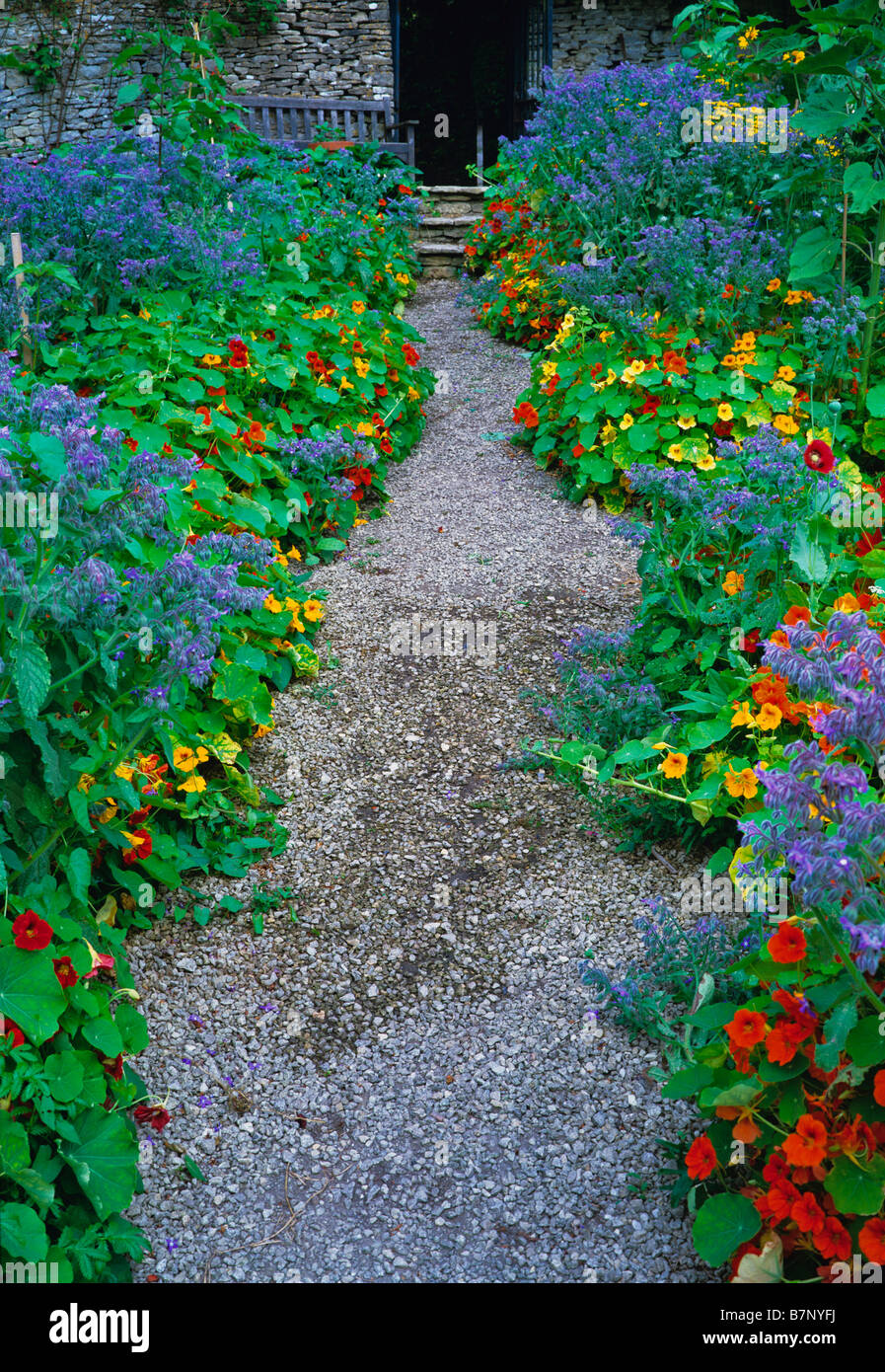 Garden with path and plants hi-res stock photography and images - Alamy