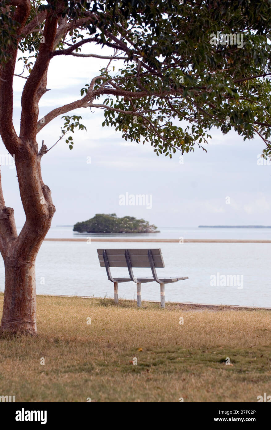 tranquil view in the florida everglades Stock Photo