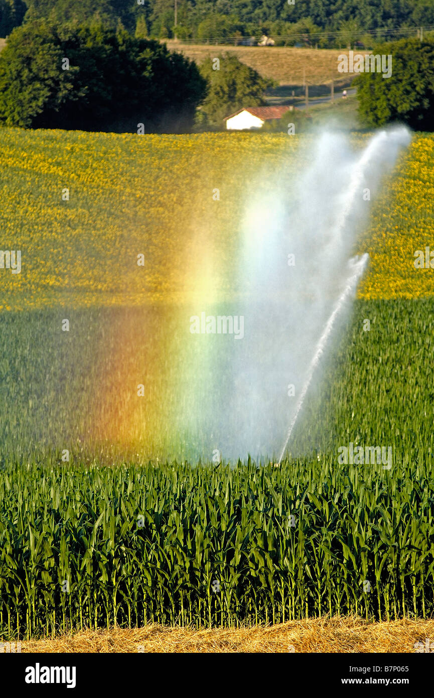 Irrigation of a field of maize near Angoulême, France. Stock Photo