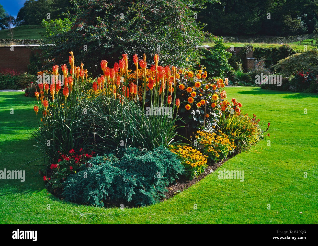 Kniphofia caulescens in a summer border at Holehird Gardens Stock Photo
