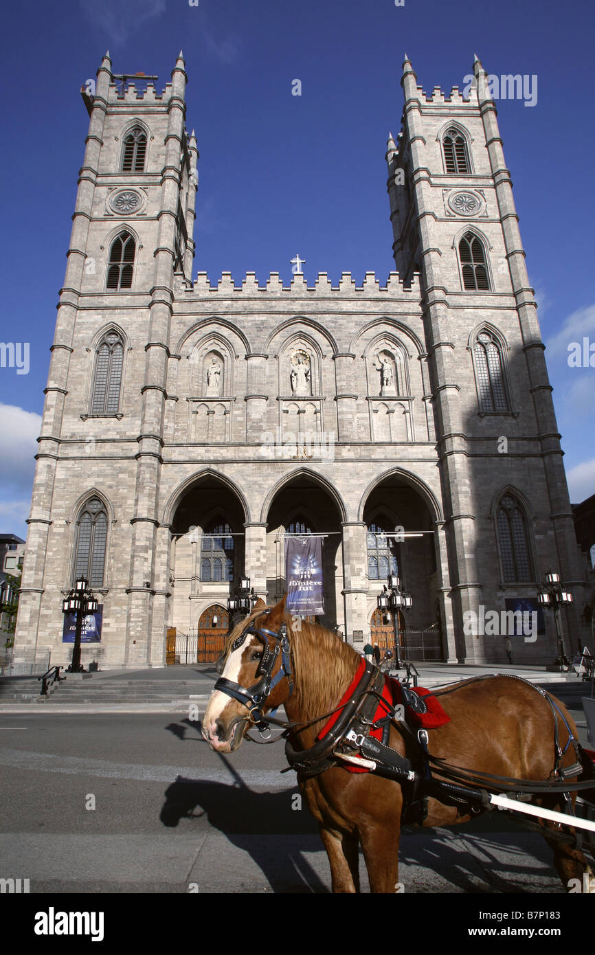 Notre Dame Basilica, Montreal, Quebec, Canada Stock Photo