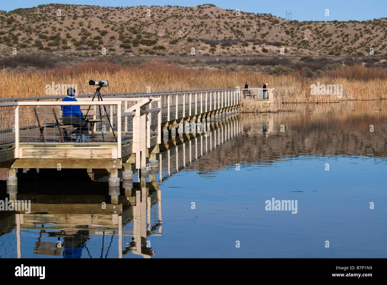 Photographer and visitors explore the marsh Bosque del Apache NWR New