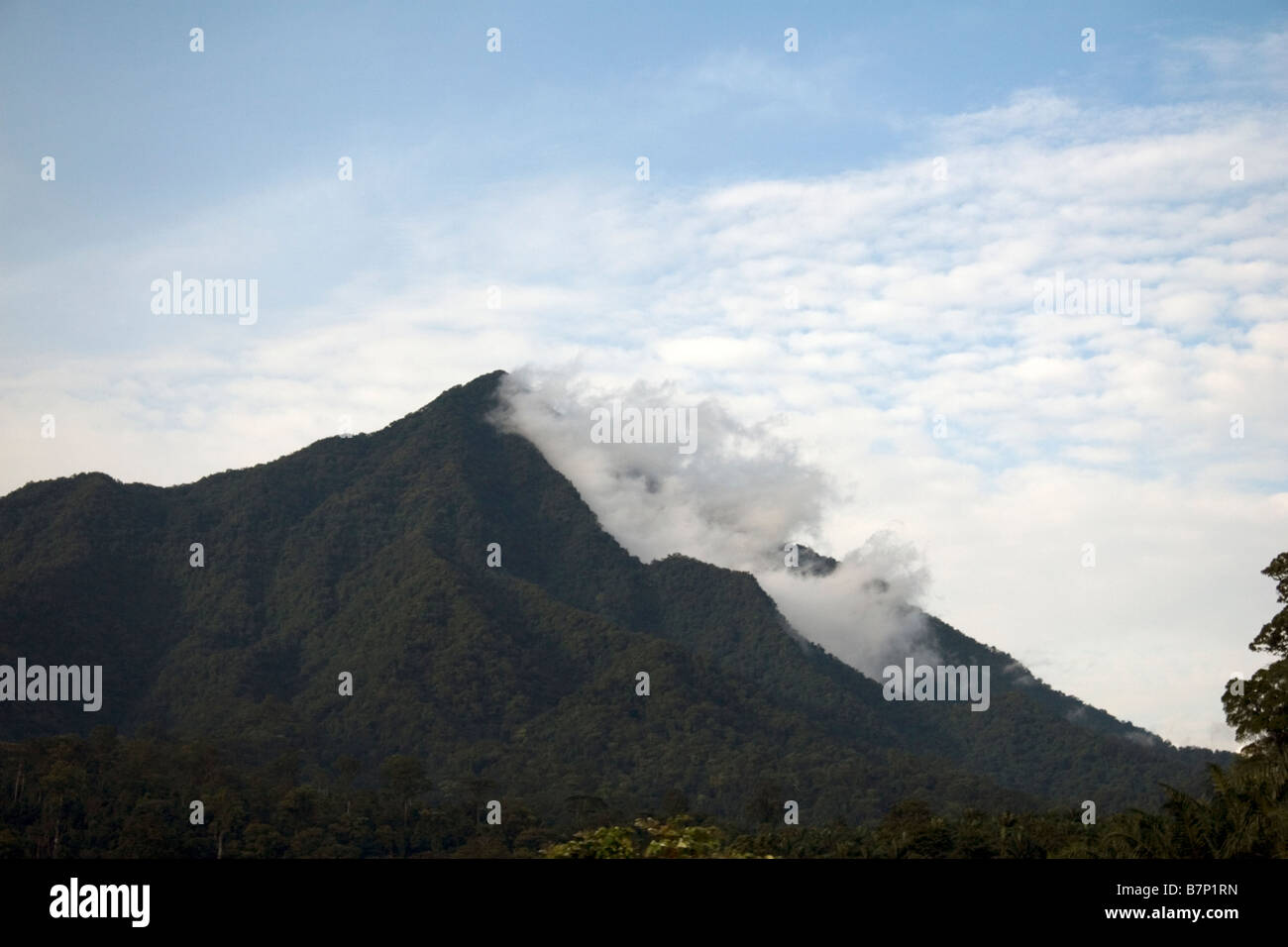 Mount Cameroon massif with peak of Small or Little Mount Cameroon and Southwest Province Cameroon West Africa Stock Photo