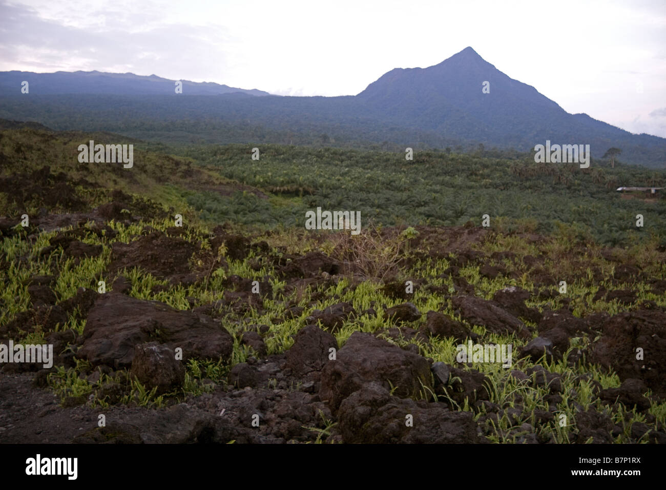 Mount Cameroon massif with peak of Small or Little Mount Cameroon and volcanic rocks Southwest Province Cameroon West Africa Stock Photo