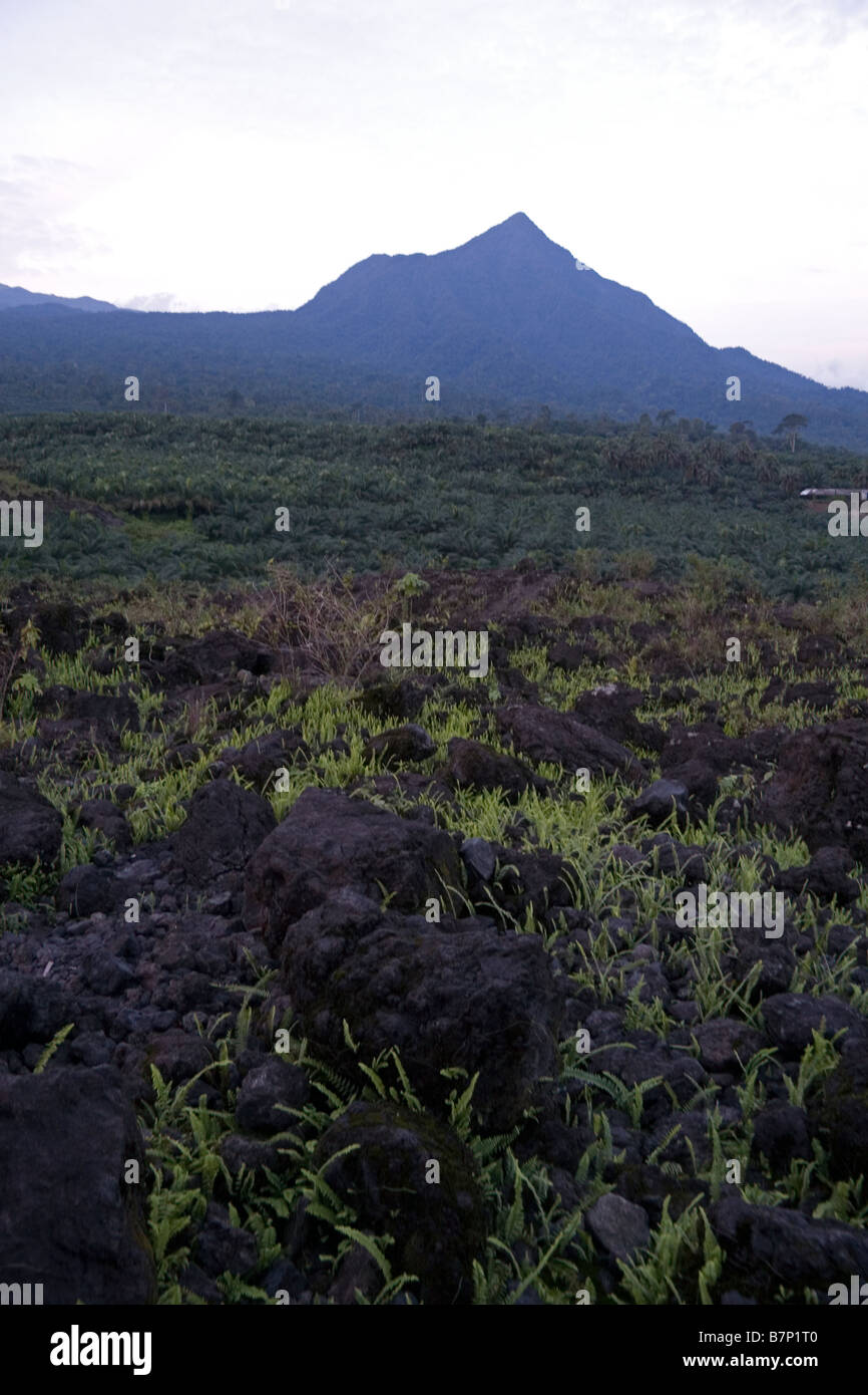 Mount Cameroon massif with peak of Small or Little Mount Cameroon and volcanic rocks Southwest Province Cameroon West Africa Stock Photo