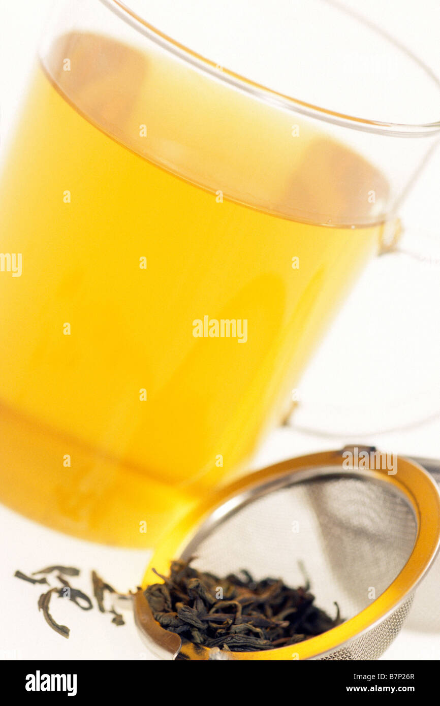 Green Tea (Camellia sinensis) in glass with sieve Stock Photo - Alamy