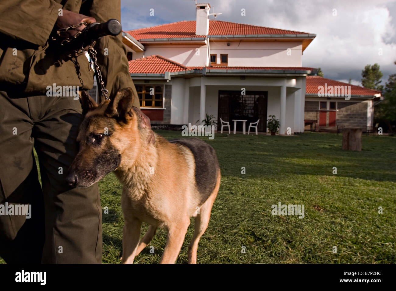 A security guard patrolling the compound of a house with a trained