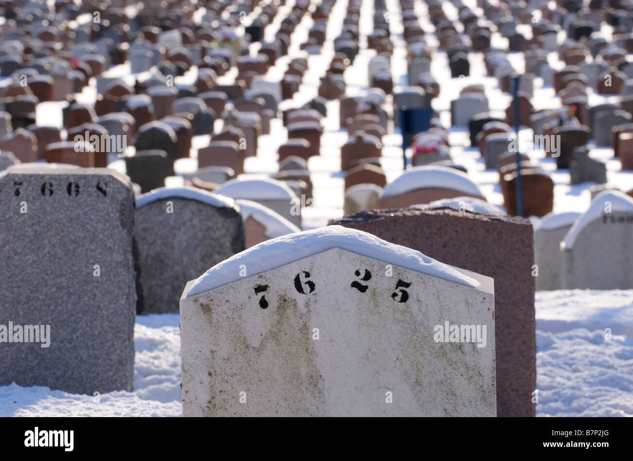 Cemetery headstones, tombstones, aligned and casting a perfect shadow on the snow in winter in the Mont Royal cemetery in Quebec Stock Photo