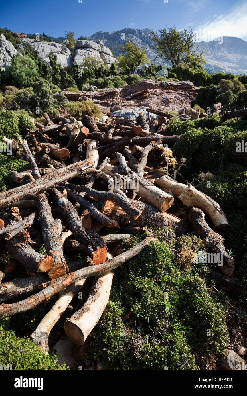 A pile of cut wood and sawn logs  in Turkish countryside near Fethiye Turkey Stock Photo