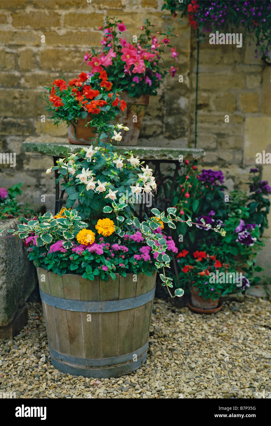 Planted containers of colourful summer flowers Stock Photo