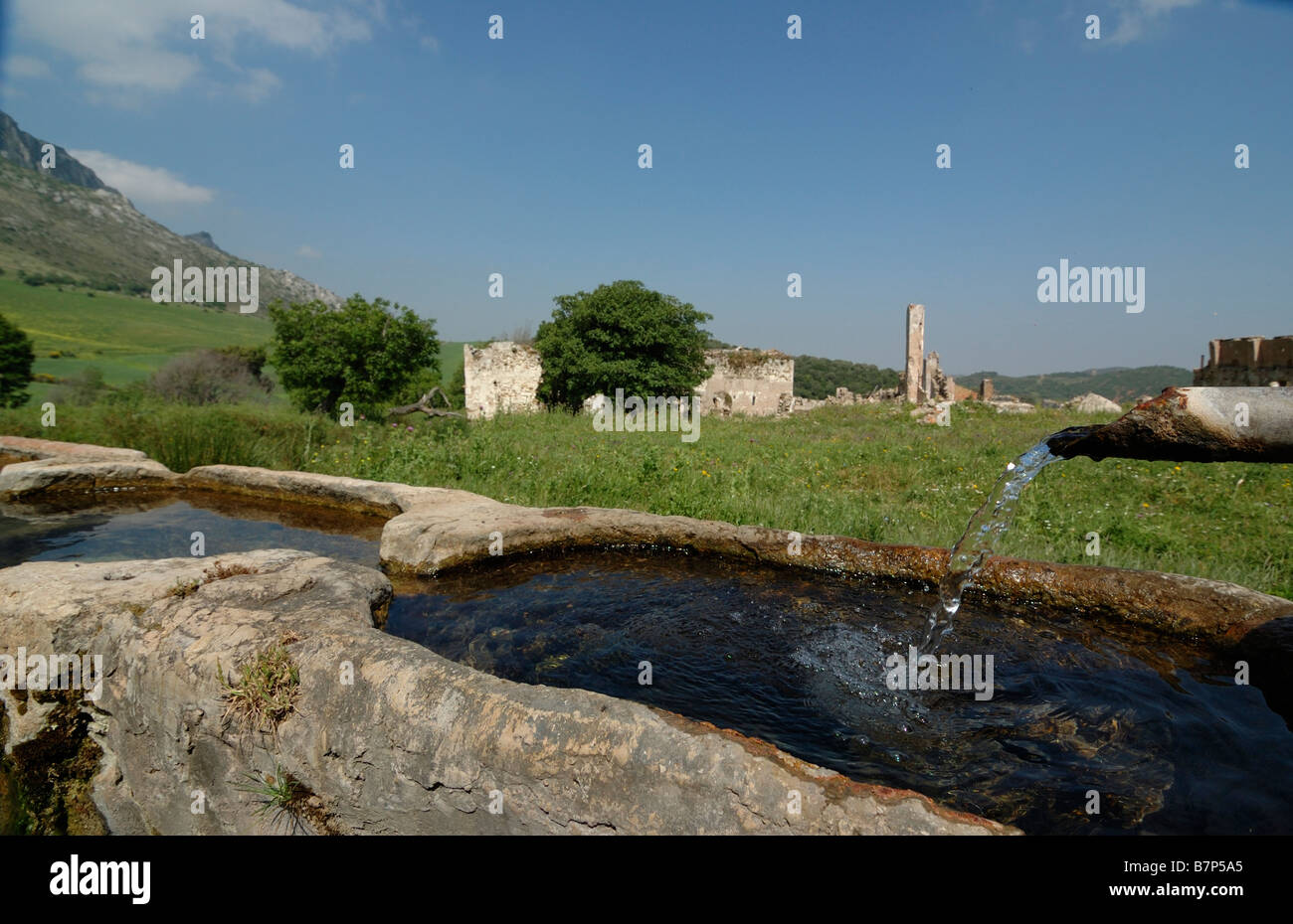 A picture of spring Stock Photo - Alamy