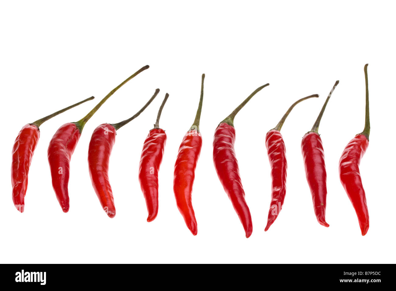 row of red hot chili beans on white background Stock Photo Alamy
