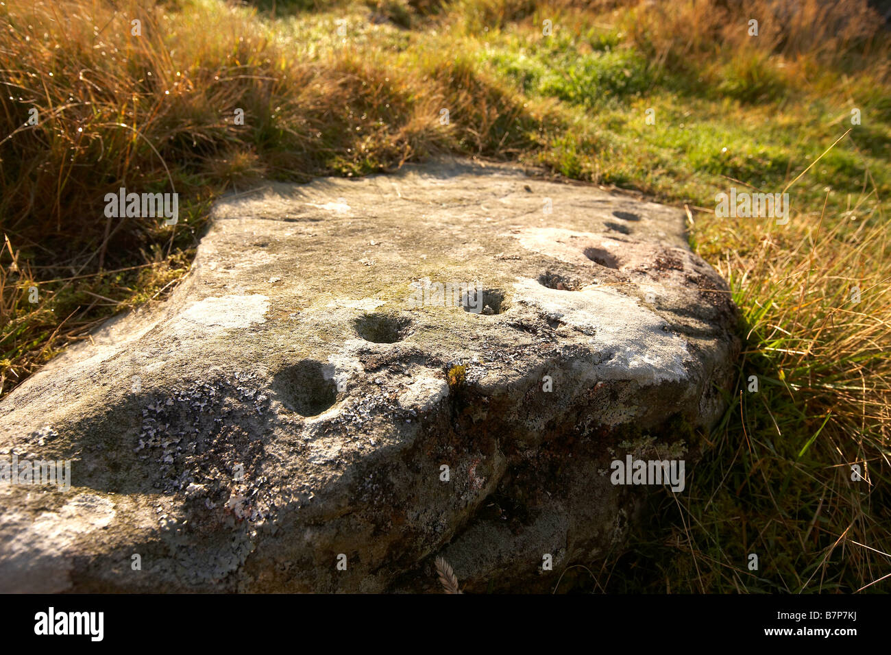 Prehistoric cup and ring marks rock art carved on rock at Brigantium Northumberland England UK Stock Photo