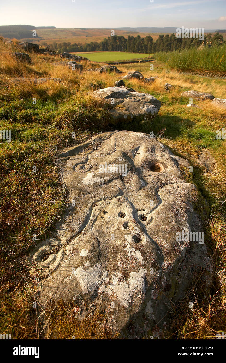 Prehistoric cup and ring marks rock art carved on rock at Brigantium Northumberland England UK Stock Photo