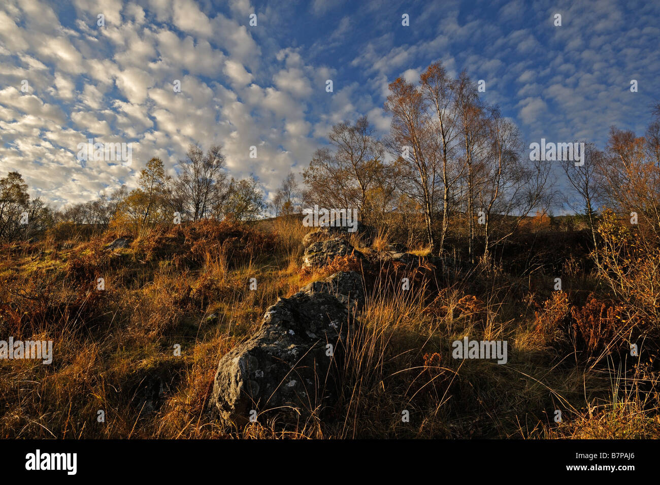 Autumn colours in Glen Falloch beneath a mackerel sky Perthshire Scotland UK Stock Photo