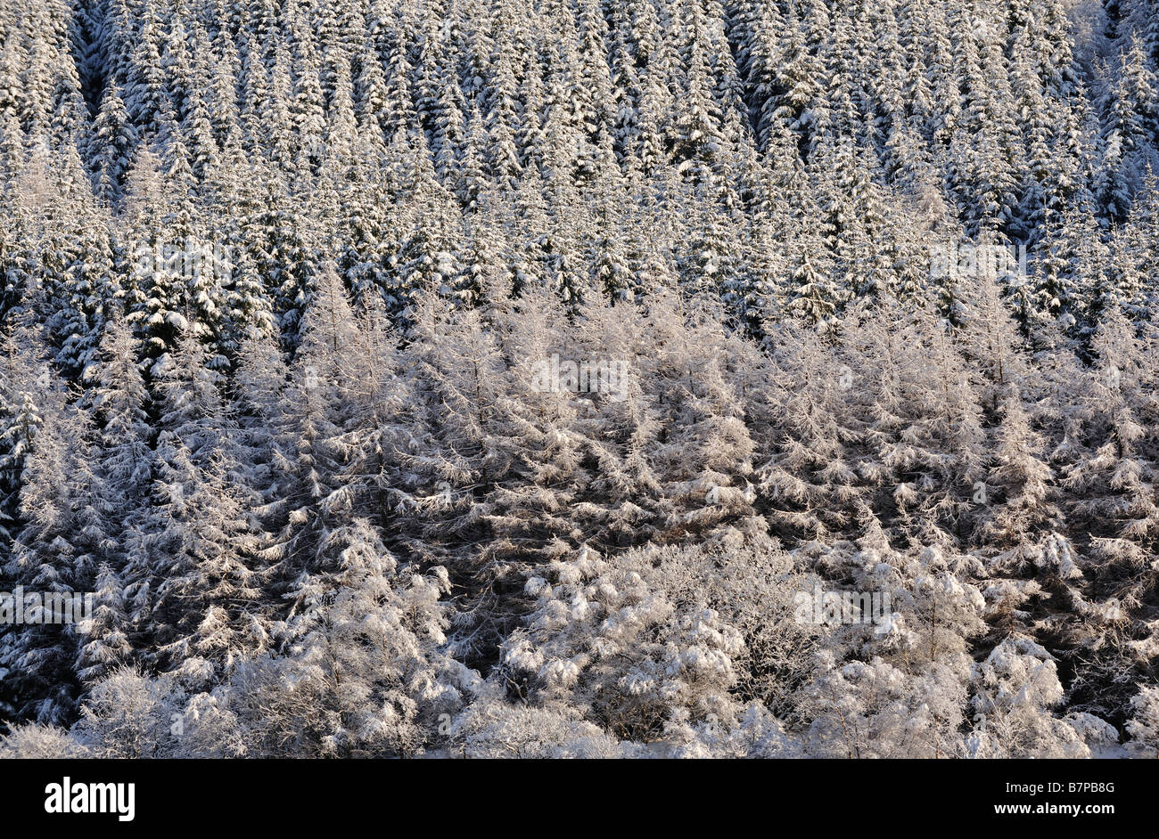 Strath of orchy hi-res stock photography and images - Alamy