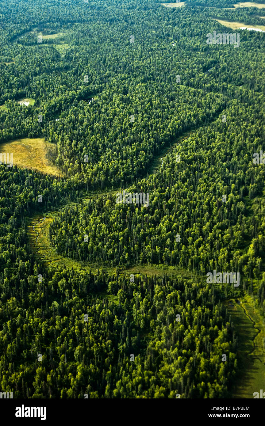 River path seen from the air, in the Denali National Park, halfway between Talkeetna and the Alaska Range, Alaska, USA. Stock Photo