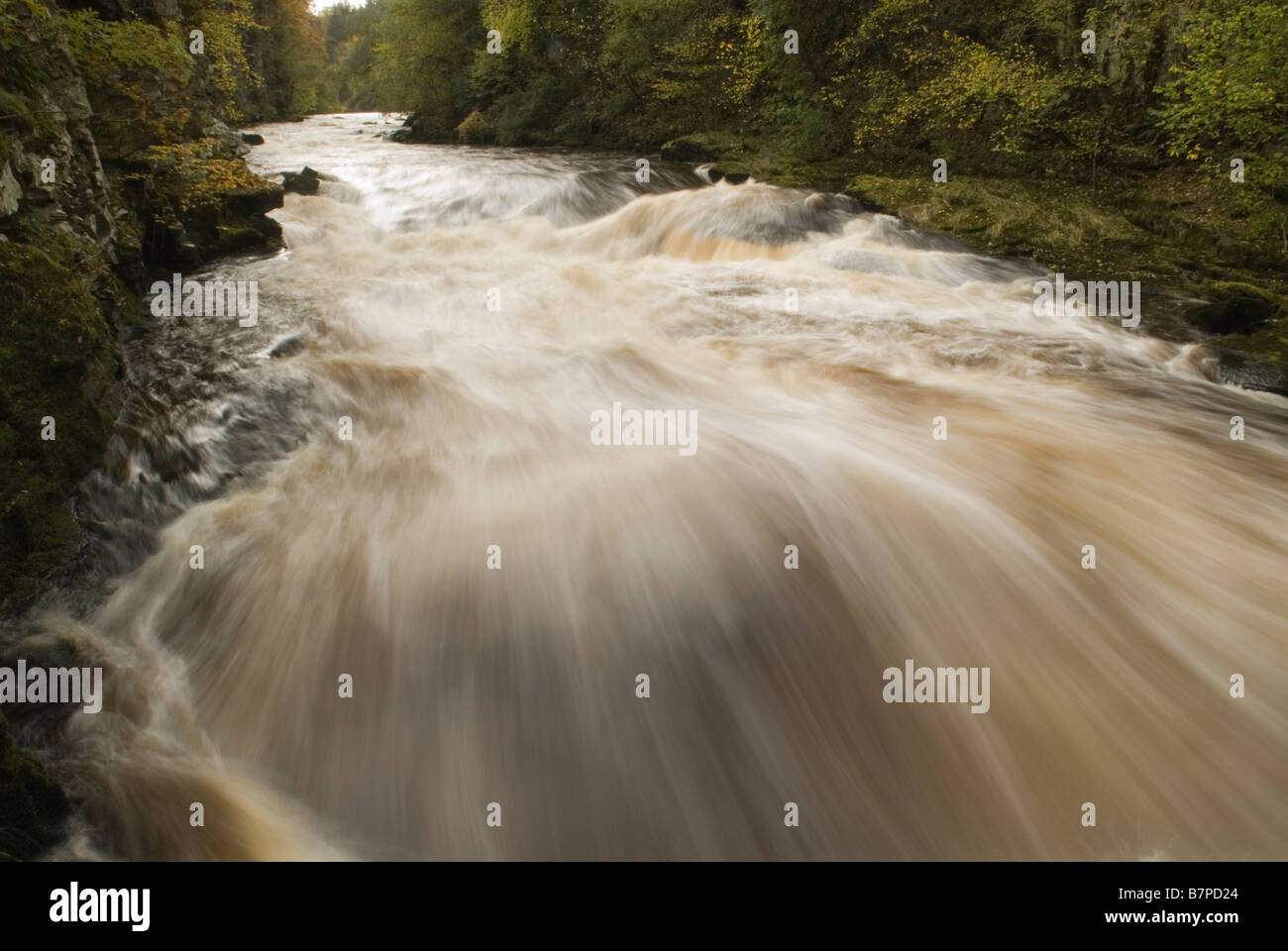 The River Clyde As It Races Through A Gorge Towards The Falls Of Clyde the-river-clyde-as-it-races-through-a-gorge-towards-the-falls-of-clyde