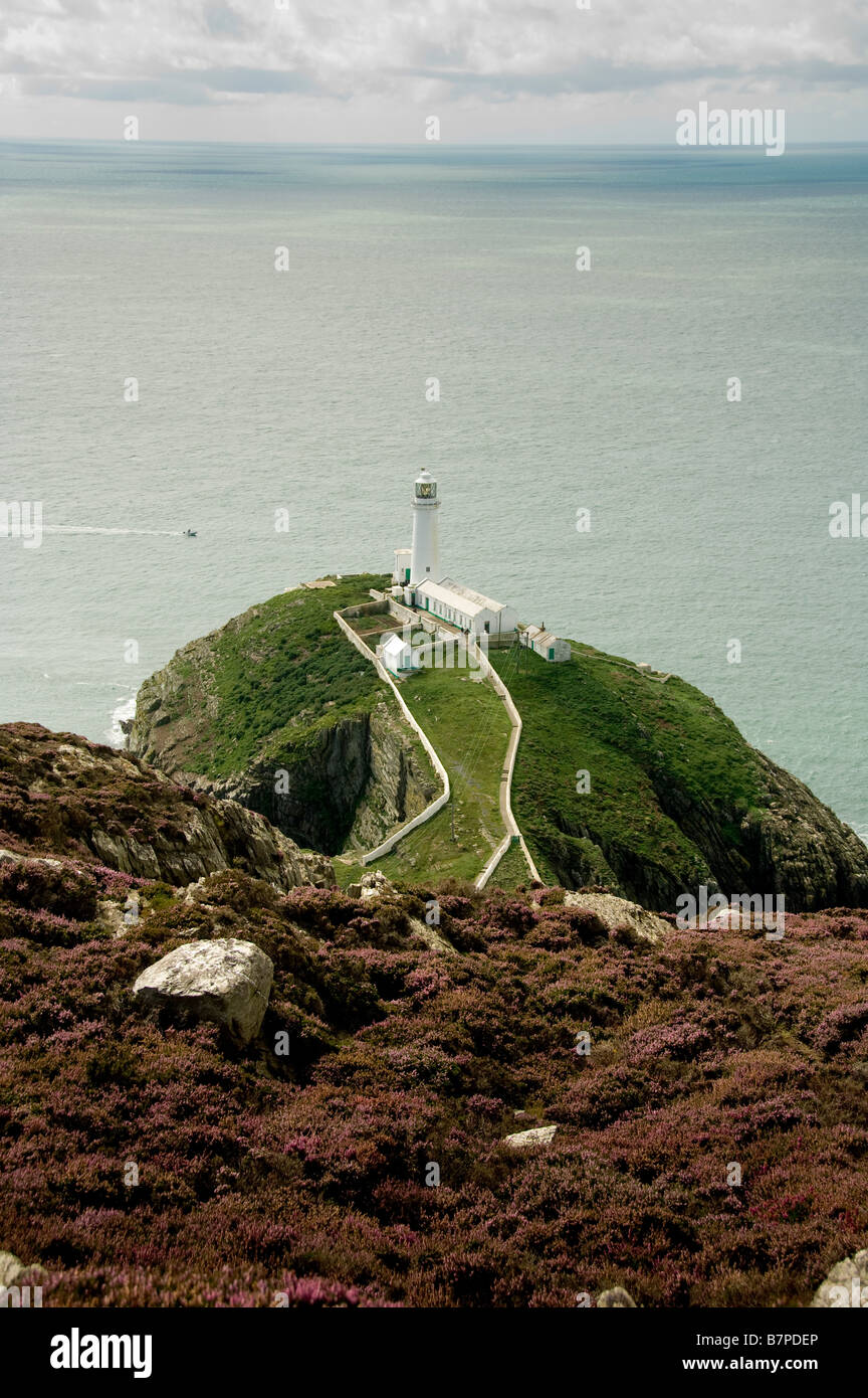 South Stack Island and Lighthouse Holyhead Isle of Anglesey Stock Photo