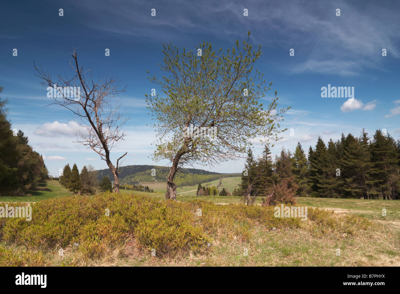 landscape with beautiful blue sky Stock Photo - Alamy