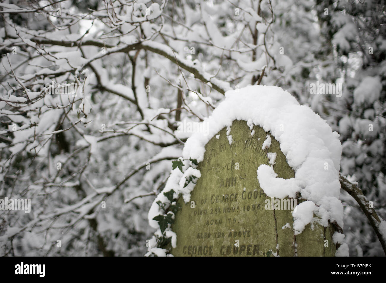 Gravestone in Nunhead Cemetery under snow Stock Photo - Alamy