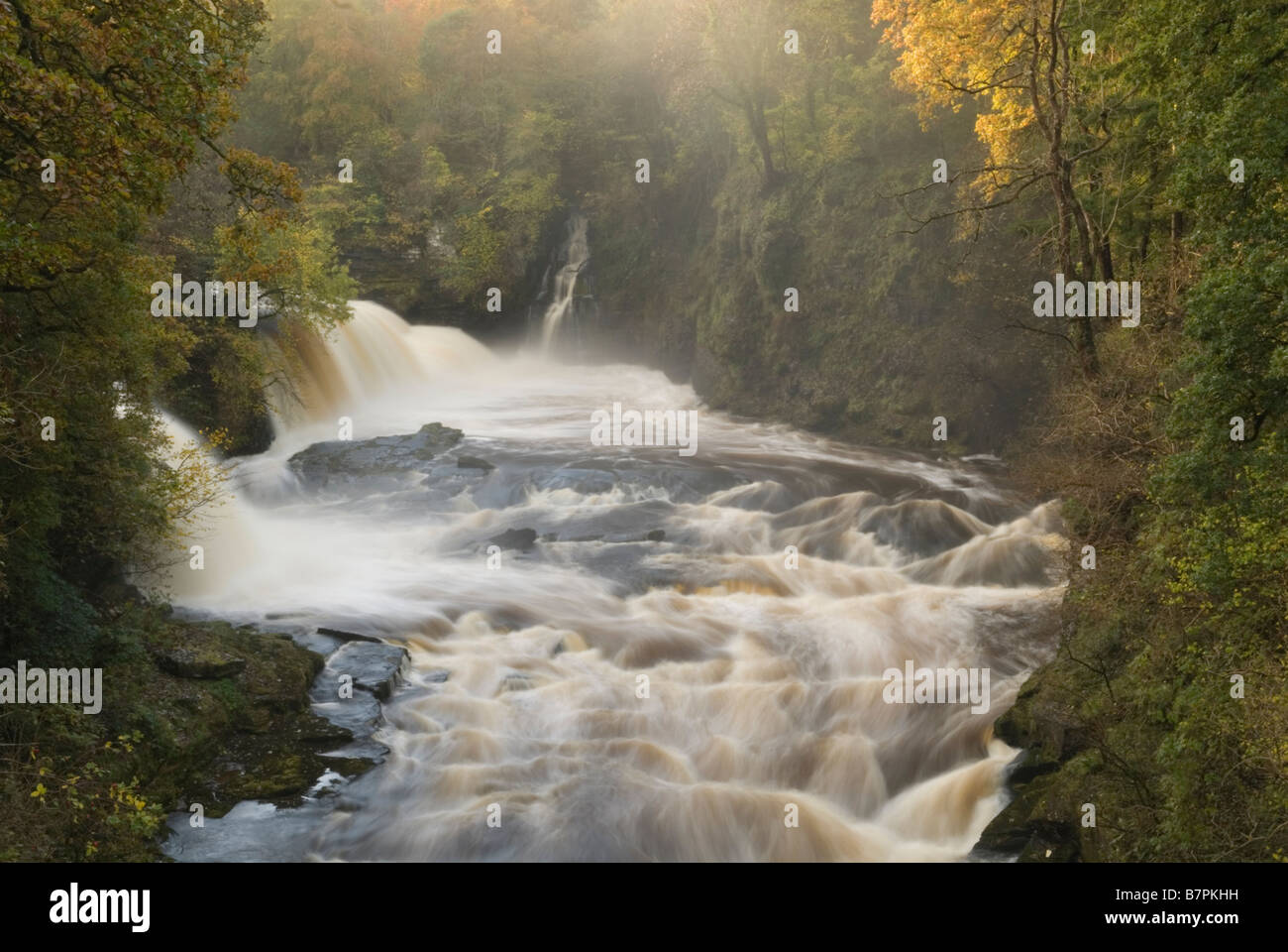 New River Gorge Wildlife Hi res Stock Photography And Images Alamy new-river-gorge-wildlife-hi-res-stock-photography-and-images-alamy