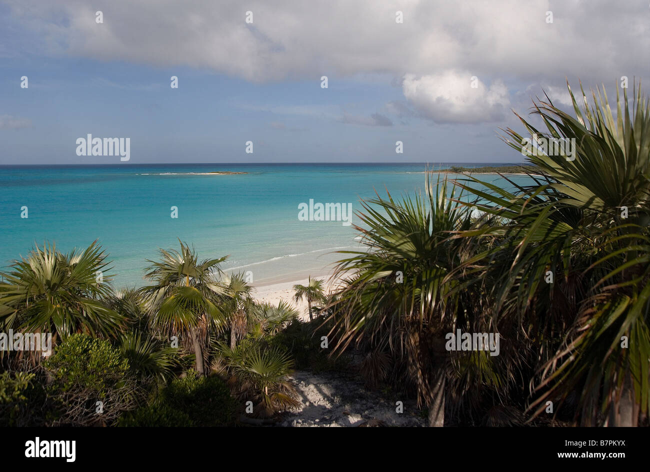 Bahamas Exuma Land Sea Park Stock Photo