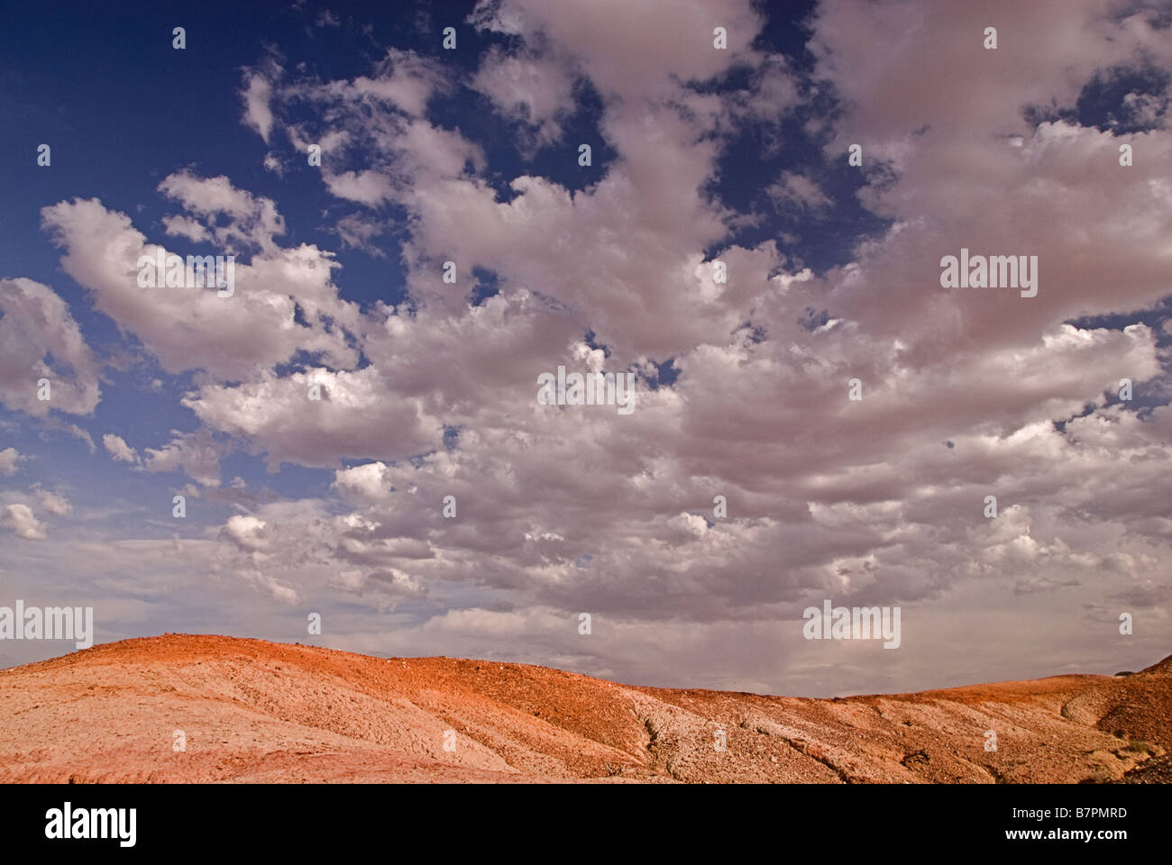 Landscape of the Bayangovi area, Gobi desert, Mongolia. Stock Photo