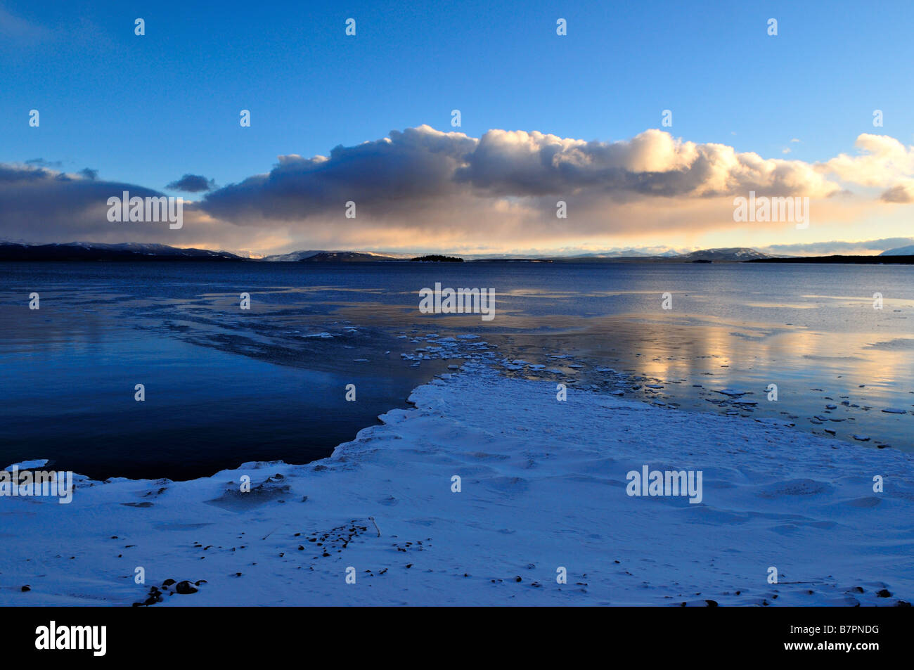 Yellowstone Lake shore. The Yellowstone National Park, Wyoming, USA. Stock Photo