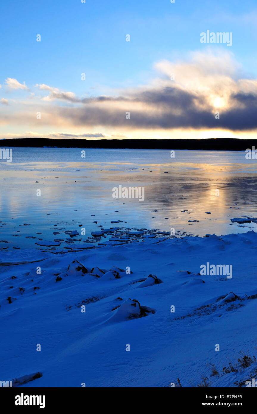 Yellowstone Lake shore. The Yellowstone National Park, Wyoming, USA. Stock Photo