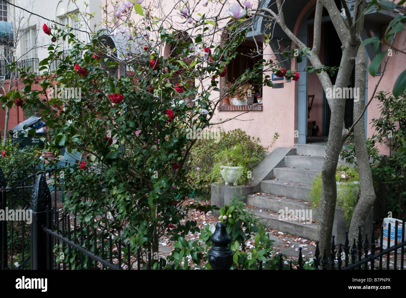 A New Orleans patio Stock Photo Alamy