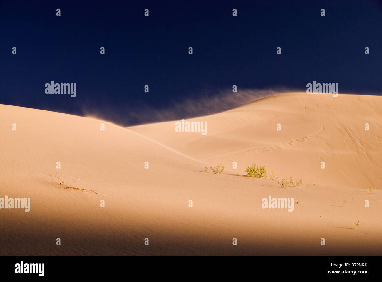 Landscape Of The Khongoryn Els Dunes, Gobi Desert, Mongolia Stock Photo ...