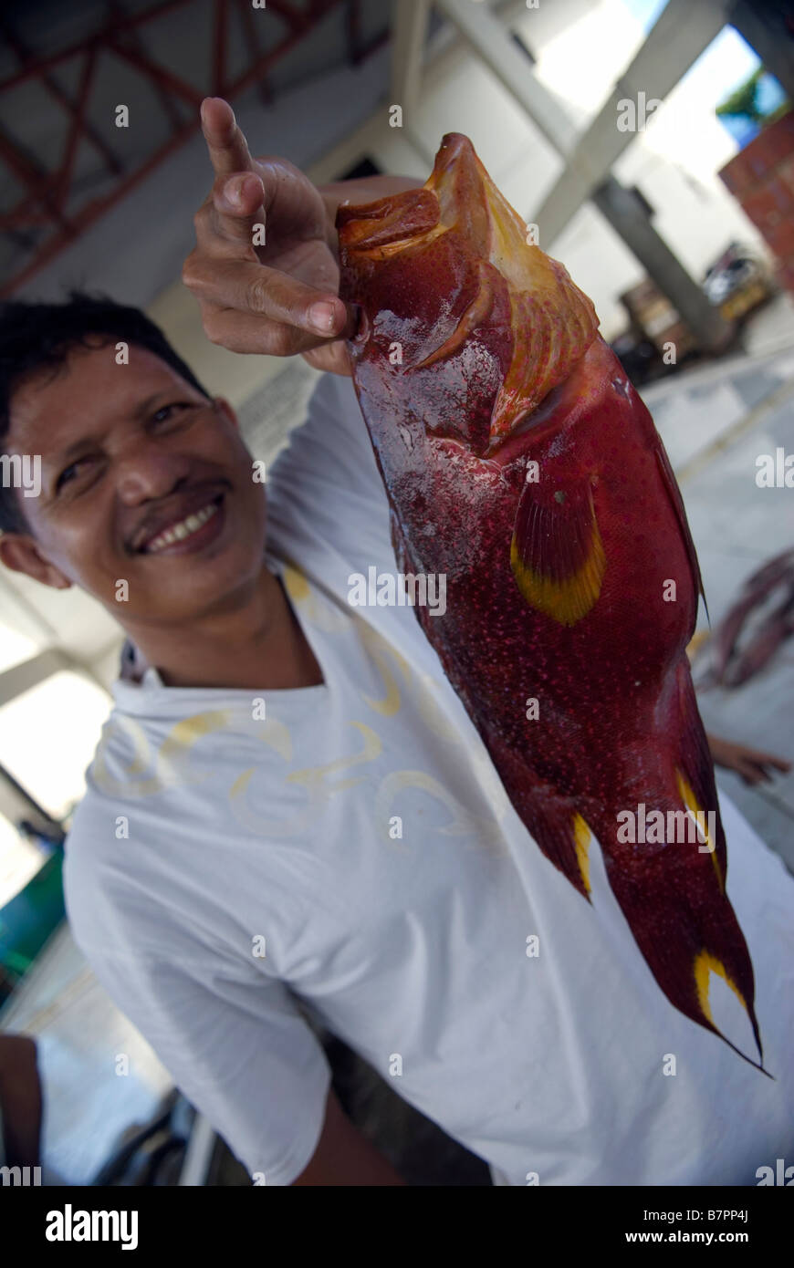 Manado fish market, Sulawesi Stock Photo