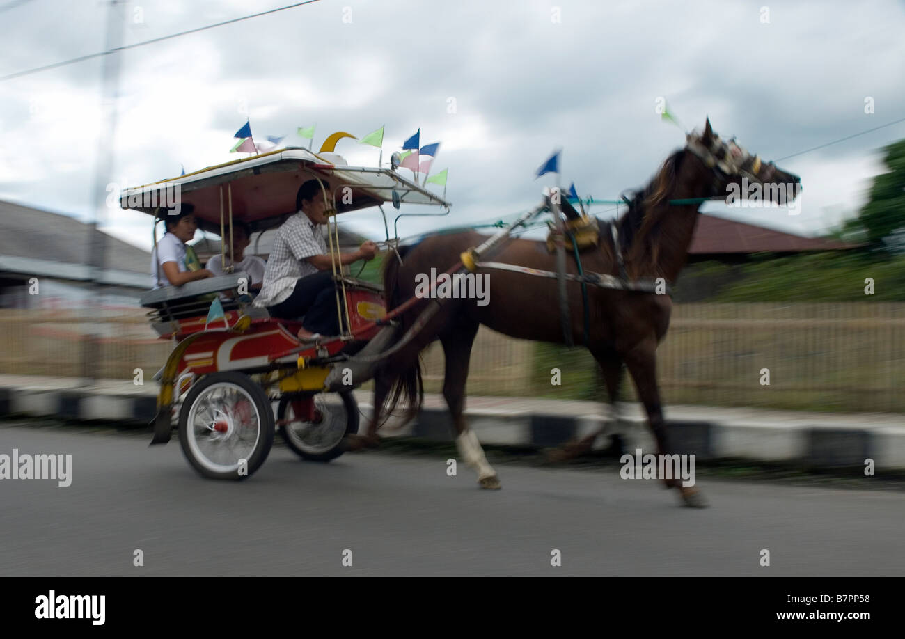 Horse carriages known here as Bendi are the traditional local transport around urban Tomohon, Sulawesi Stock Photo