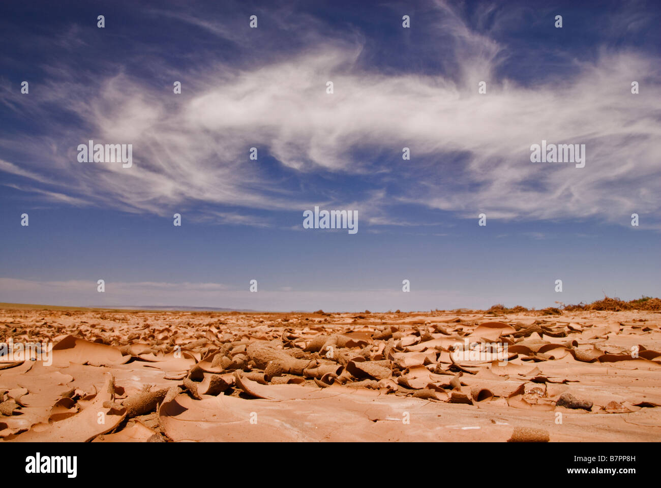 Landscape of the Gobi desert, Mongolia. Stock Photo