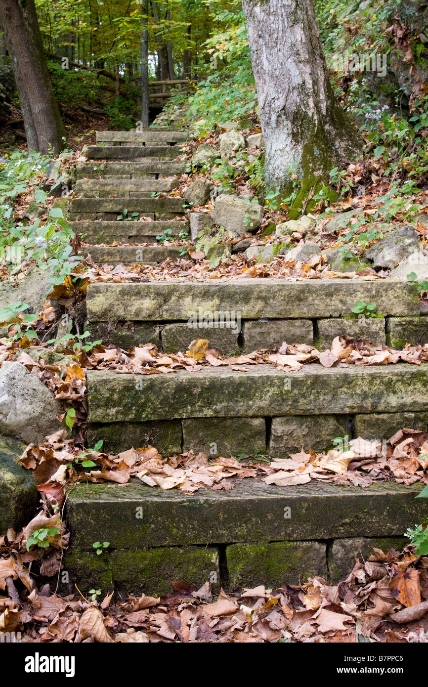 Stone steps on hiking trail. Stock Photo