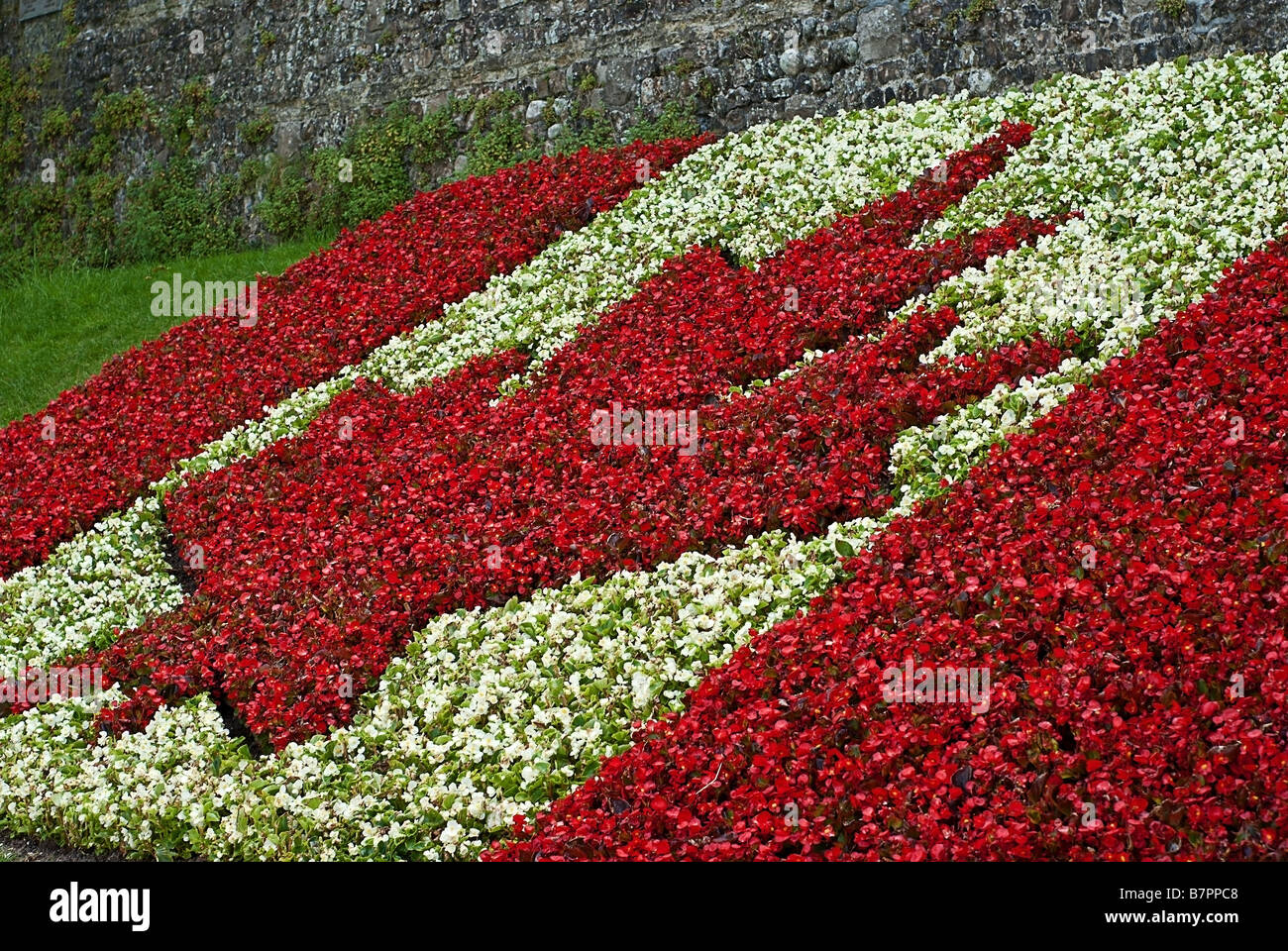 Canadian flag flower bed at Dieppe France Stock Photo Alamy