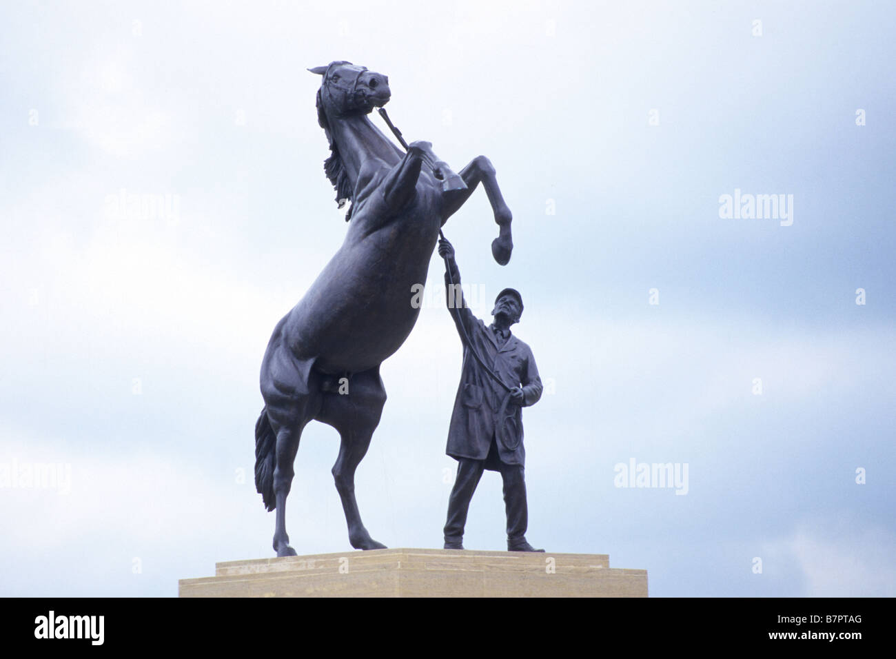 Newmarket Horse statue, Suffolk, UK Stock Photo Alamy