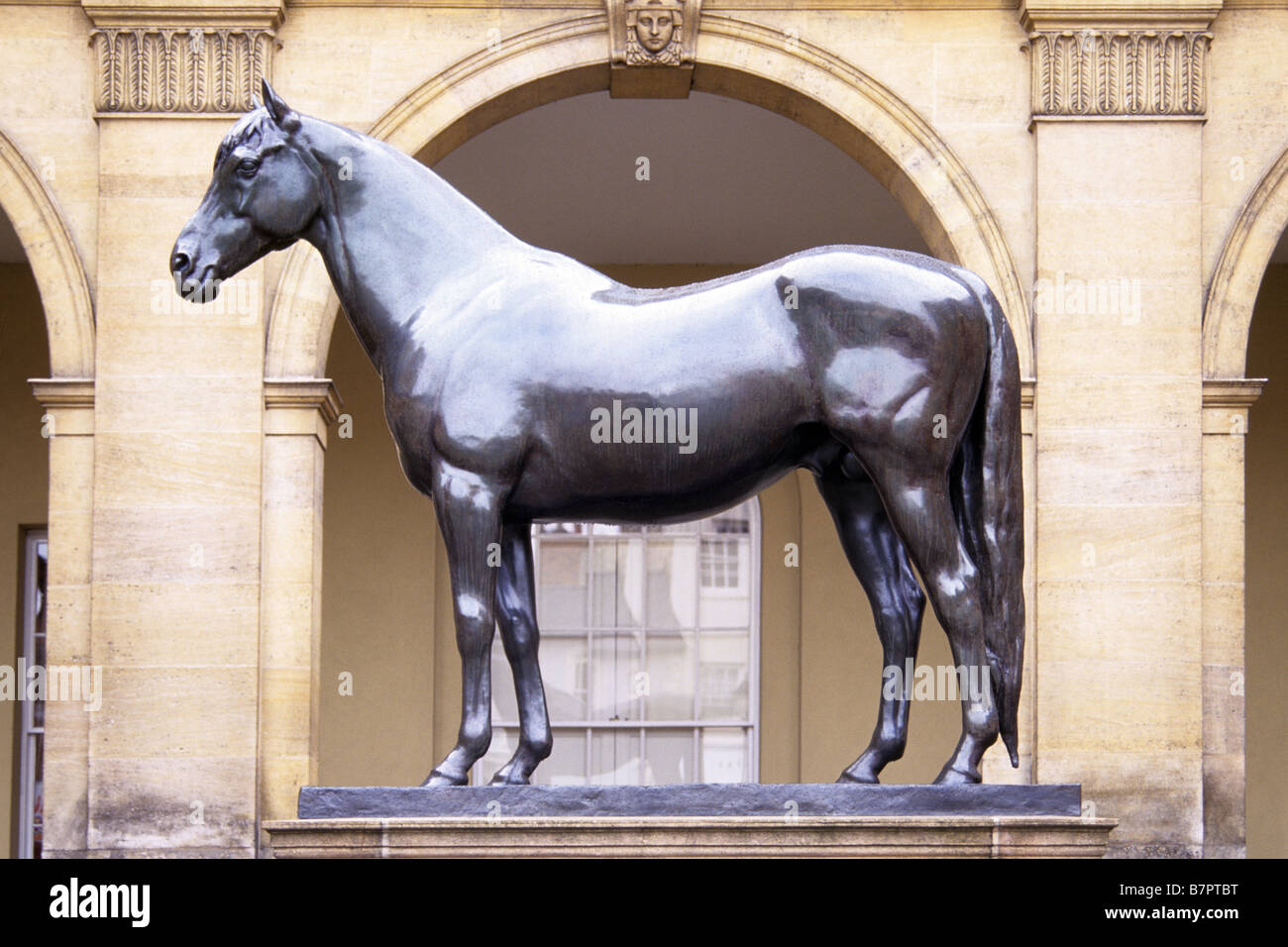 Newmarket Horse statue, Suffolk, UK Stock Photo Alamy