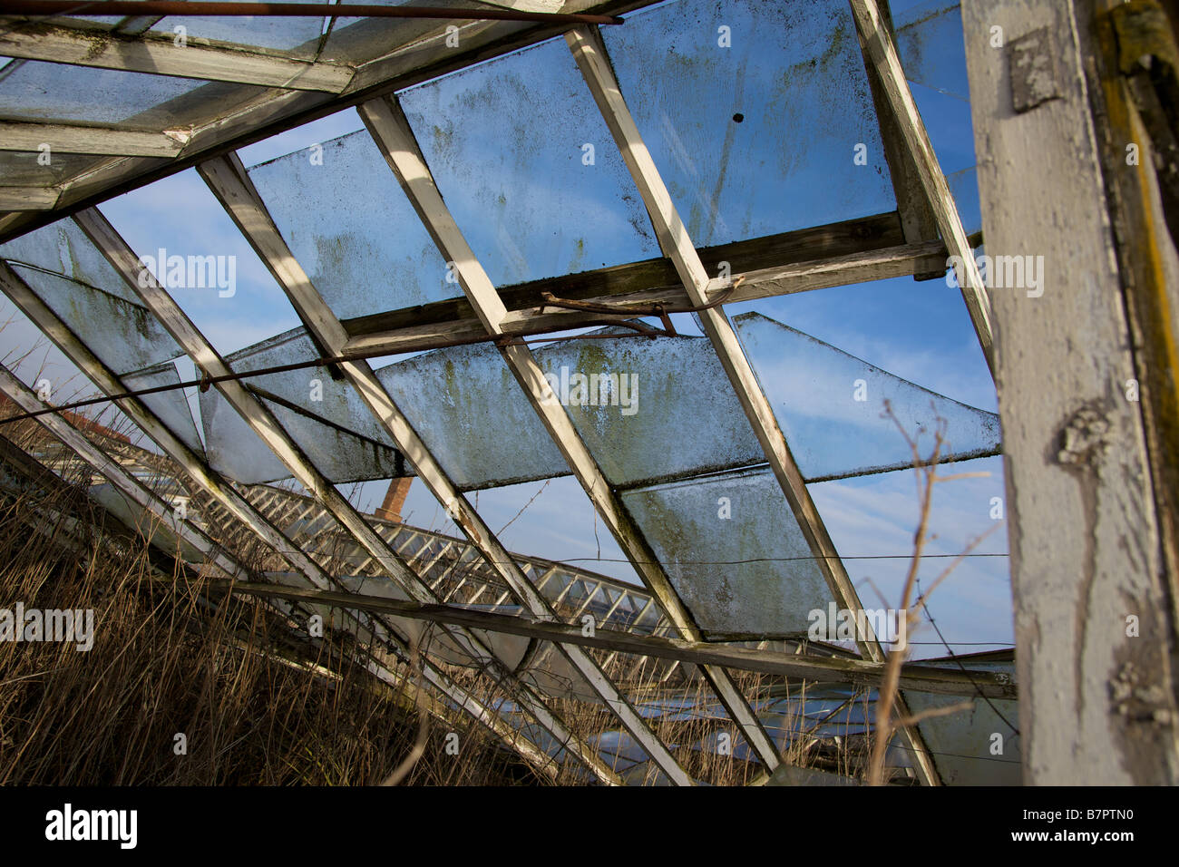 Old derelict greenhouse Stock Photo