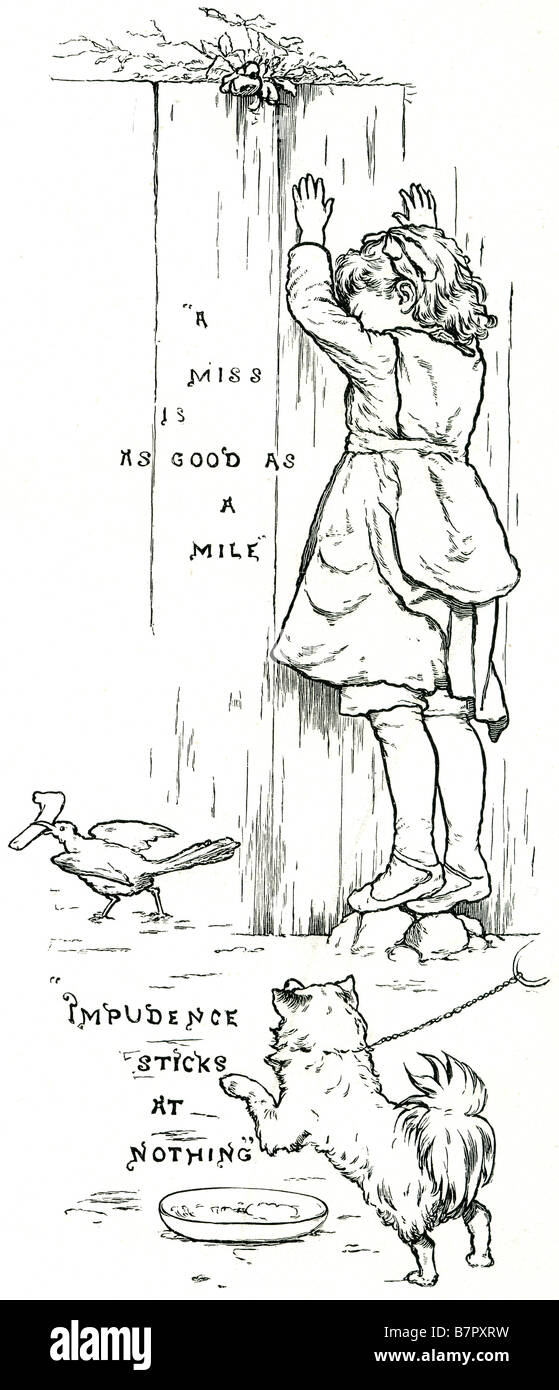 Sayings girl dog bird fence a miss is as good as a mile impudence sticks at nothing chasing canine pet leash hide and seek Stock Photo