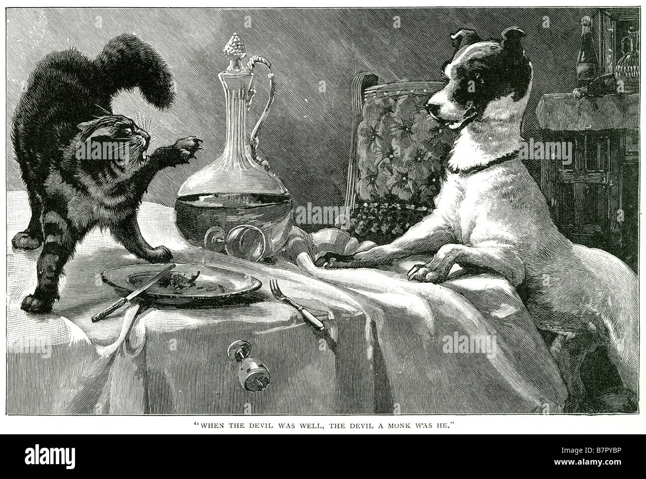 cat dog fighting table when the devil was well the a monk was he inside pet pets canine feline house animal Stock Photo