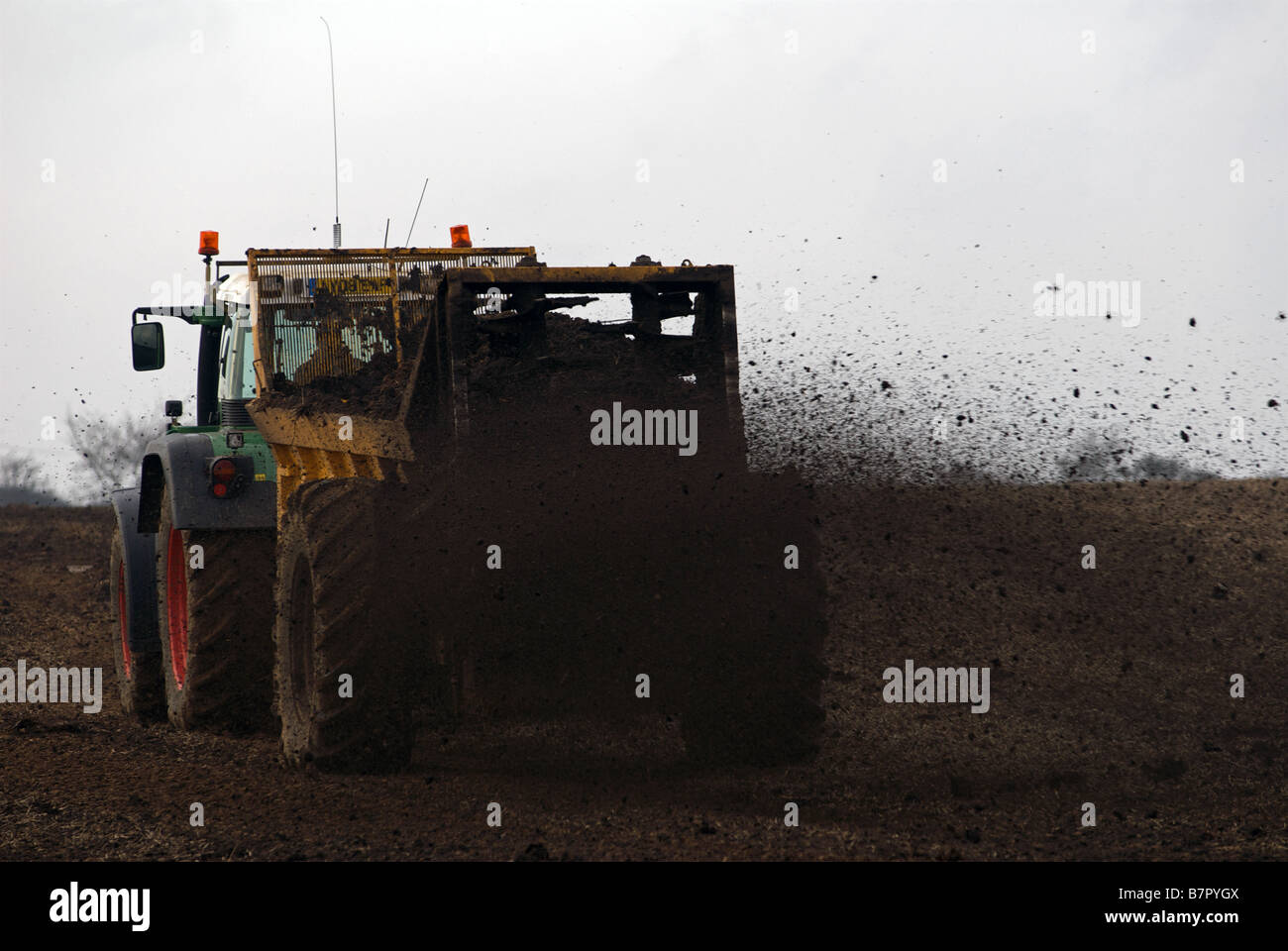 Farm yard manure being spread on a field in Hollesley, Suffolk, UK