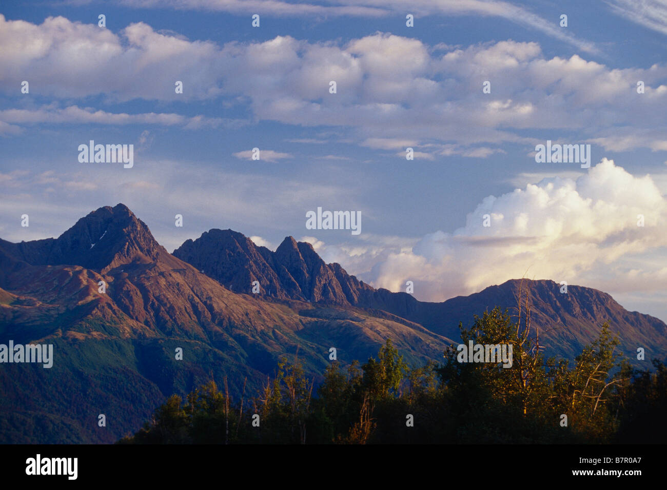 Afternoon light on Pioneer Peak & Twin Peaks Chugach Mountains MatSu