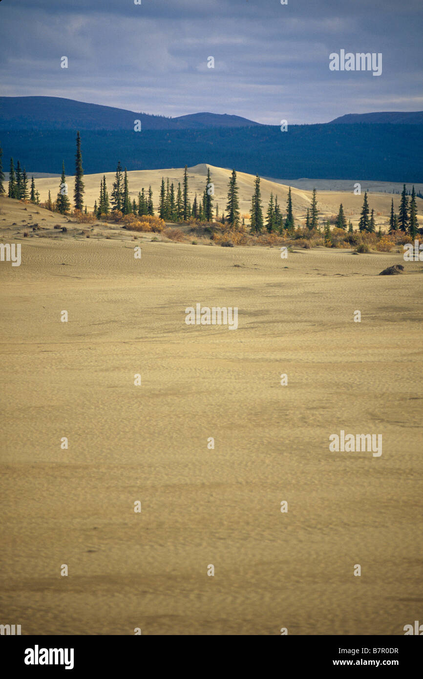 Variable terrain of the Great Kobuk Sand Dunes Kobuk Valley National Park Arctic Alaska Autumn Stock Photo