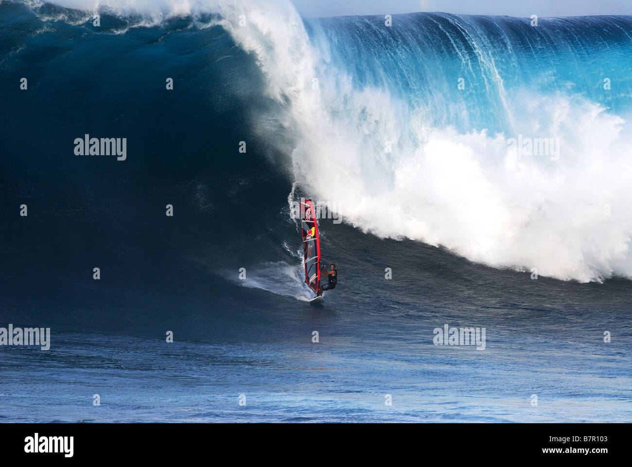 Powerful jaws hi-res stock photography and images - Alamy