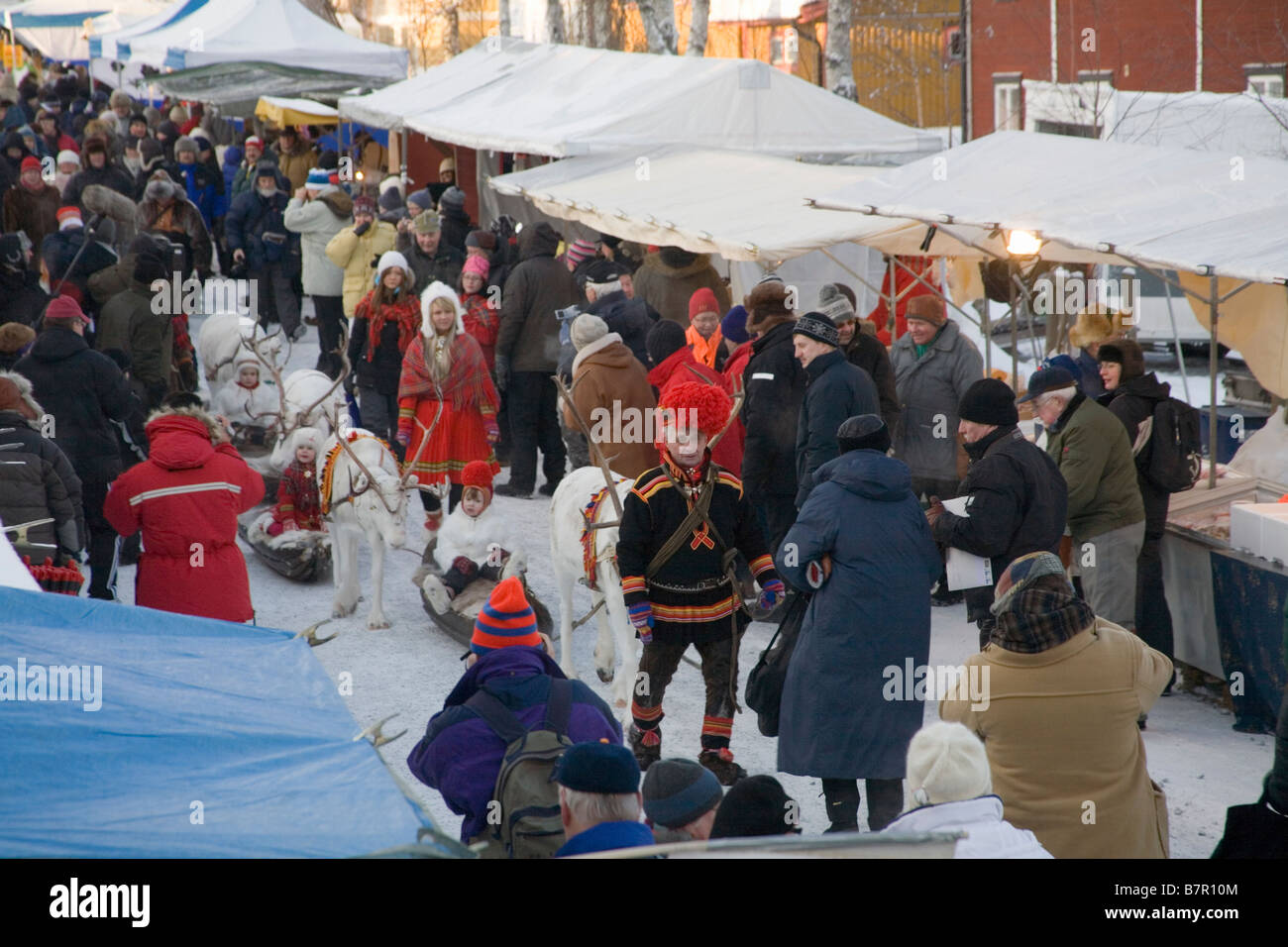 Reindeer caravan Jokkmokk fair Sweden Winter Stock Photo