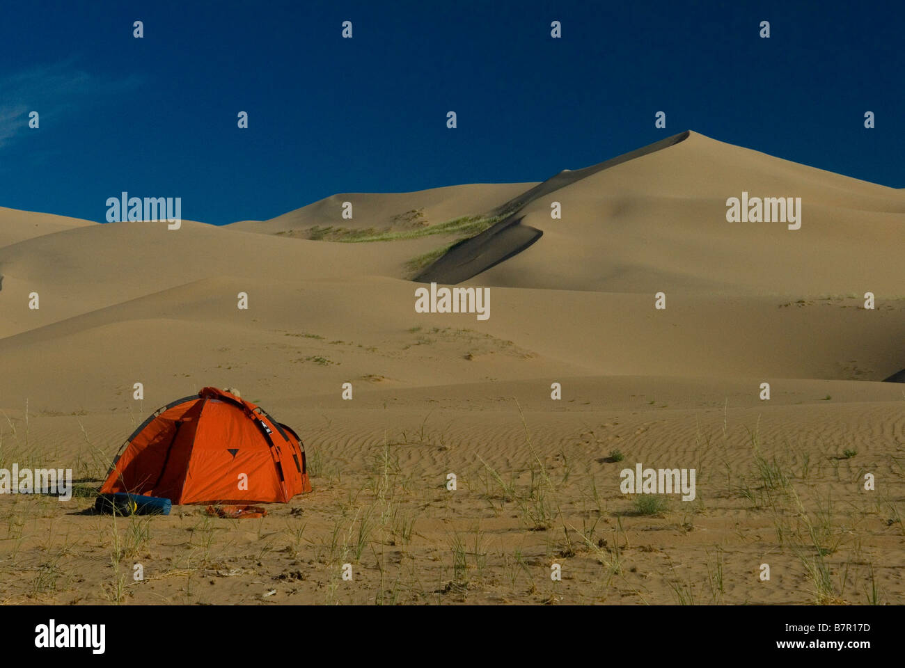 Camp in Gobi Desert Stock Photo