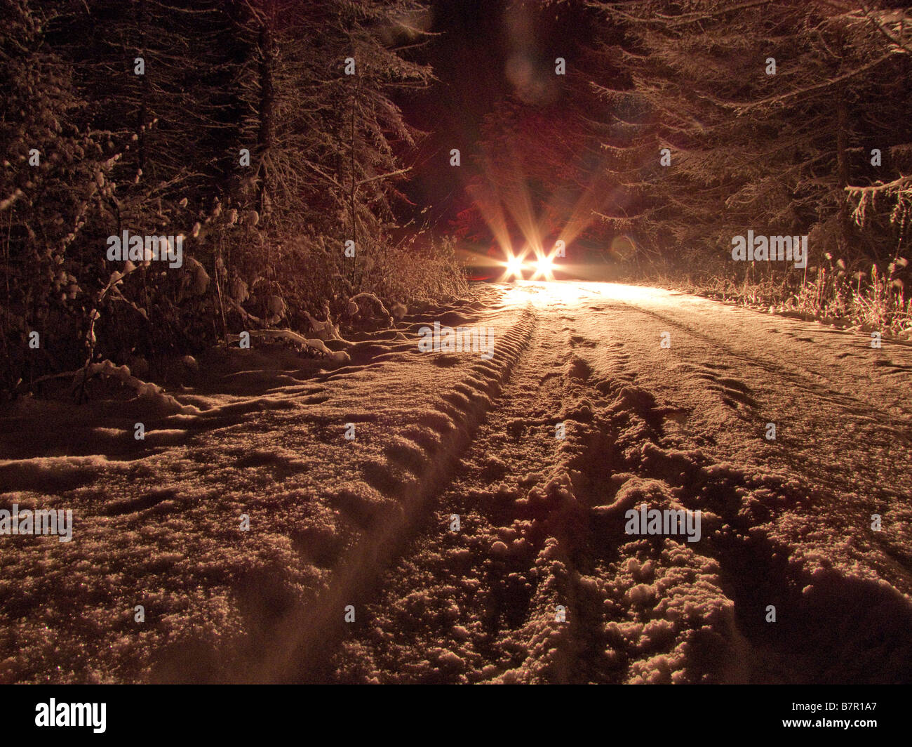 Vehicle light in the winter night, snowy road - extreme weather Stock Photo